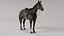 Horse SealBrown Saddled ANIMATED 3D