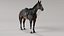Horse SealBrown Saddled ANIMATED 3D