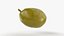 Cracked Olive 02 - 3D Scanned