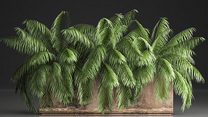 3D Palm bushes in a pot for the interior 952 model