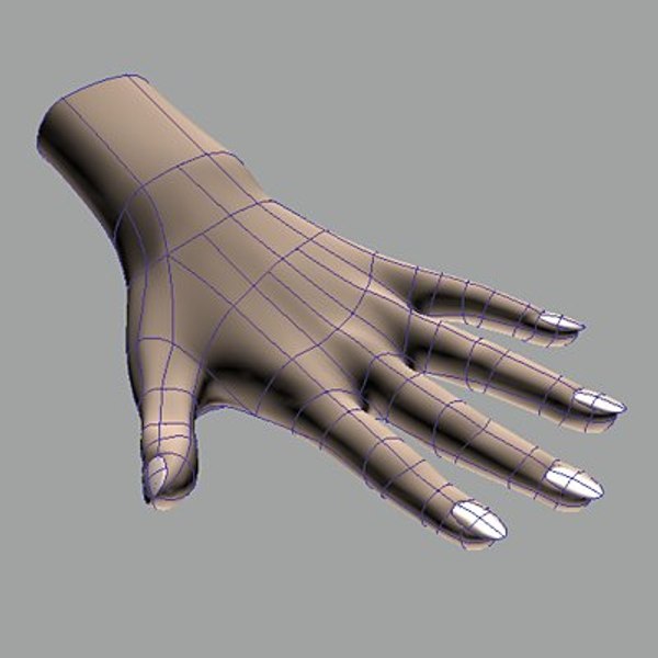 Woman Hand Max