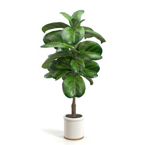 Inch Fiddle Leaf Artificial Tree In White Ceramic Planter PBR