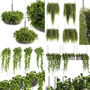 3D model Collection plant vol 04 - hanging - ampelous - bush - Cinema 4d - 3dsmax