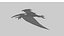 pteranodón