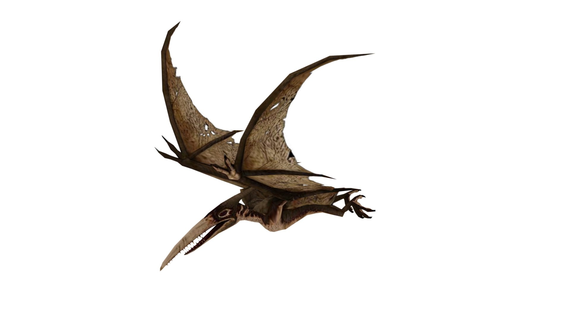 Pteranodon 3D model https://p.turbosquid.com/ts-thumb/FK/A54I03/Ym/dfs0008/jpg/1650520535/1920x1080/fit_q87/3b1ab9c1c5b6a26c77ae481ae15265fd4f50c959/dfs0008.jpg