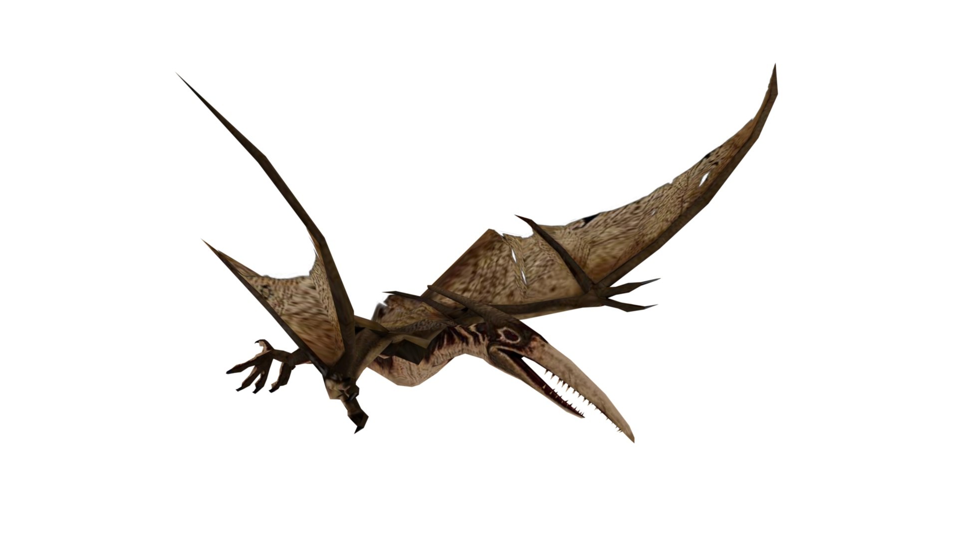 Pteranodon 3D model https://p.turbosquid.com/ts-thumb/FK/A54I03/tl/dfs0061/jpg/1650520534/1920x1080/fit_q87/6bd73793c5ce087cd510a0111e9fc67271626101/dfs0061.jpg