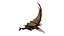 pteranodón