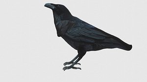 3D model Low Poly Raven Rigged With Realistic Texture