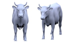 Cow