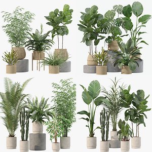 20 Photorealistic Flowers for Interiors - set 201 205 209 214 3D