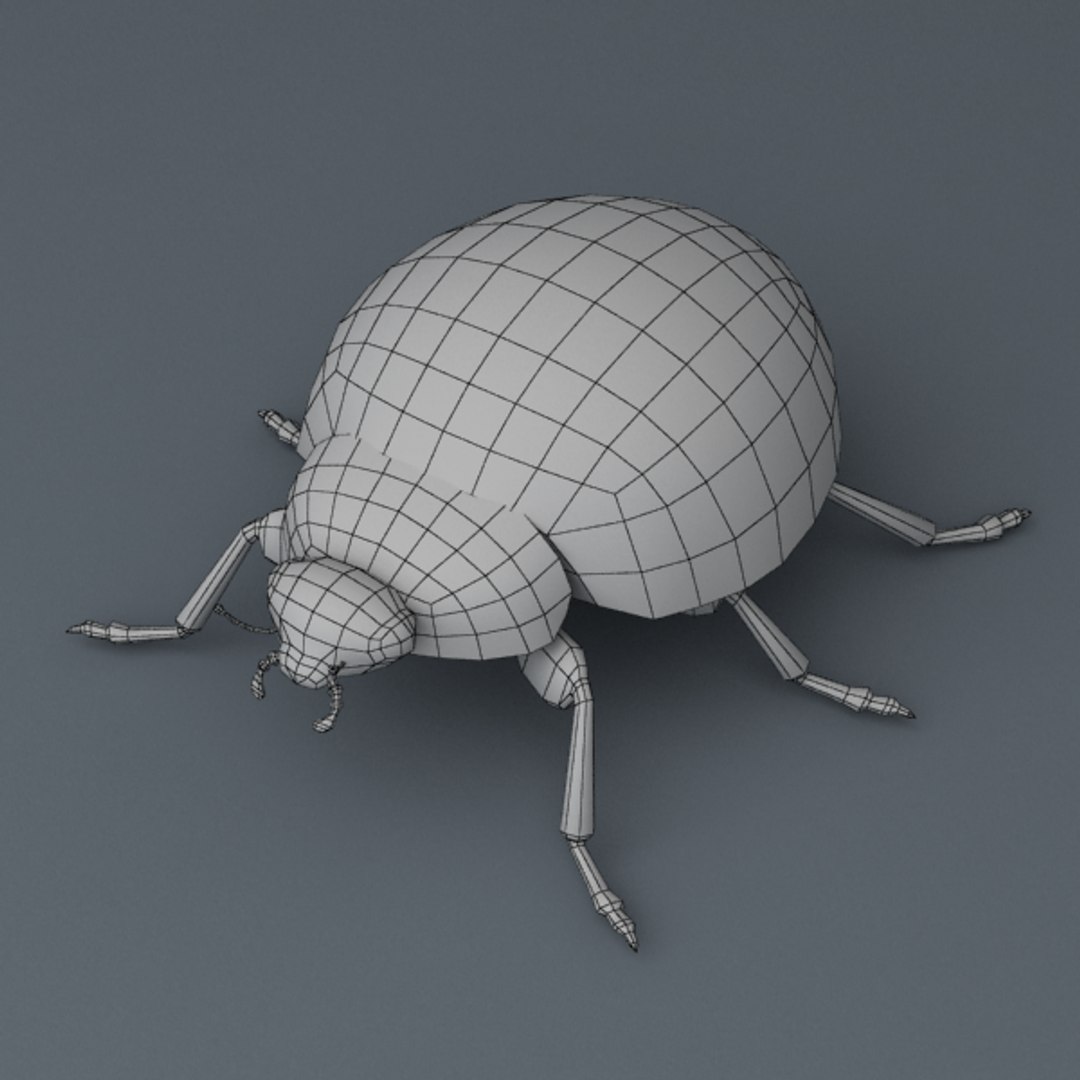 3d Model Rigged Ladybug
