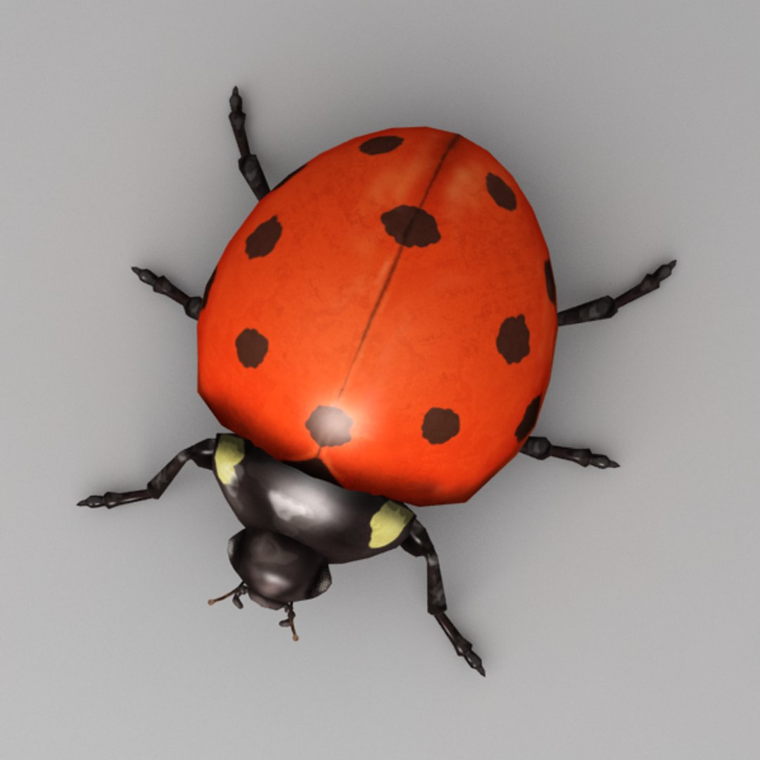 3d Model Rigged Ladybug