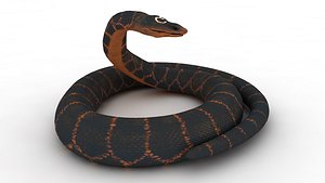 Snake model