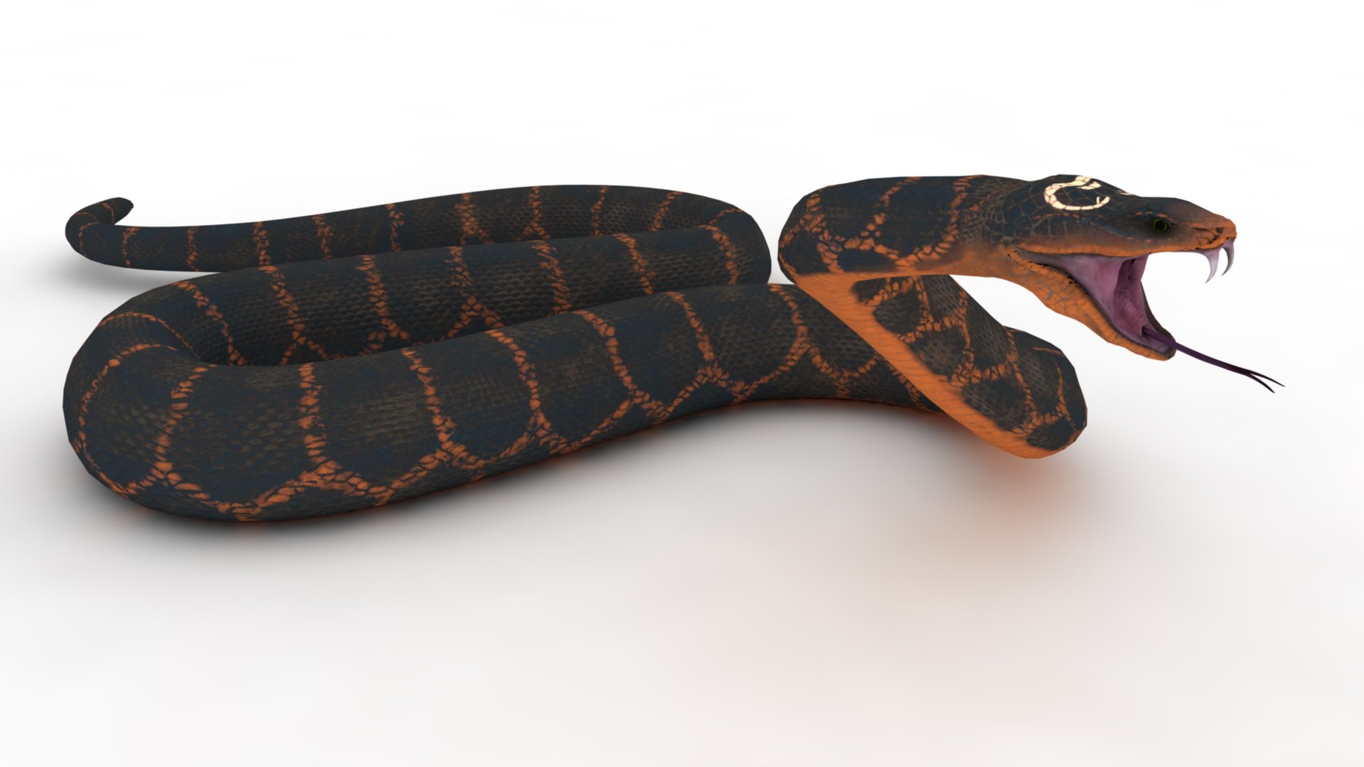 Snake Model - TurboSquid 2275694