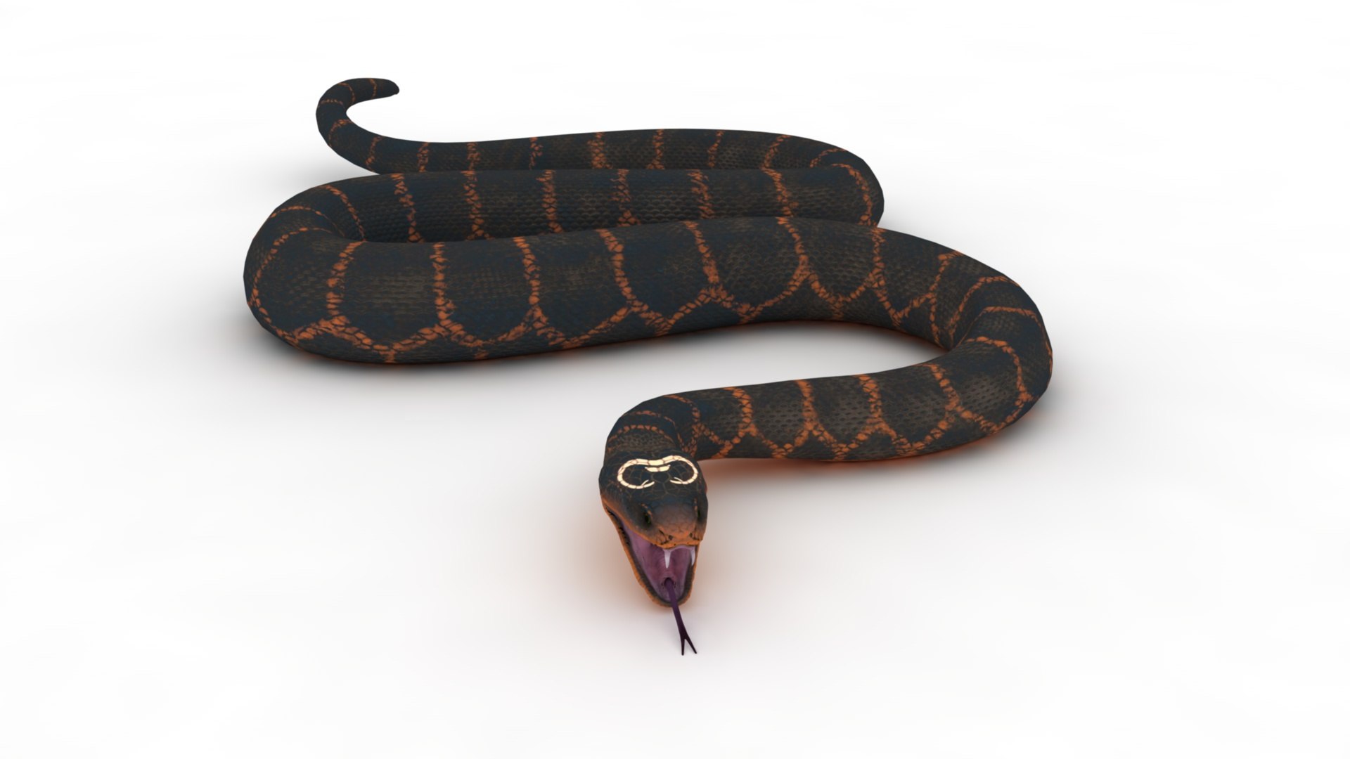 Snake Model - TurboSquid 2275694