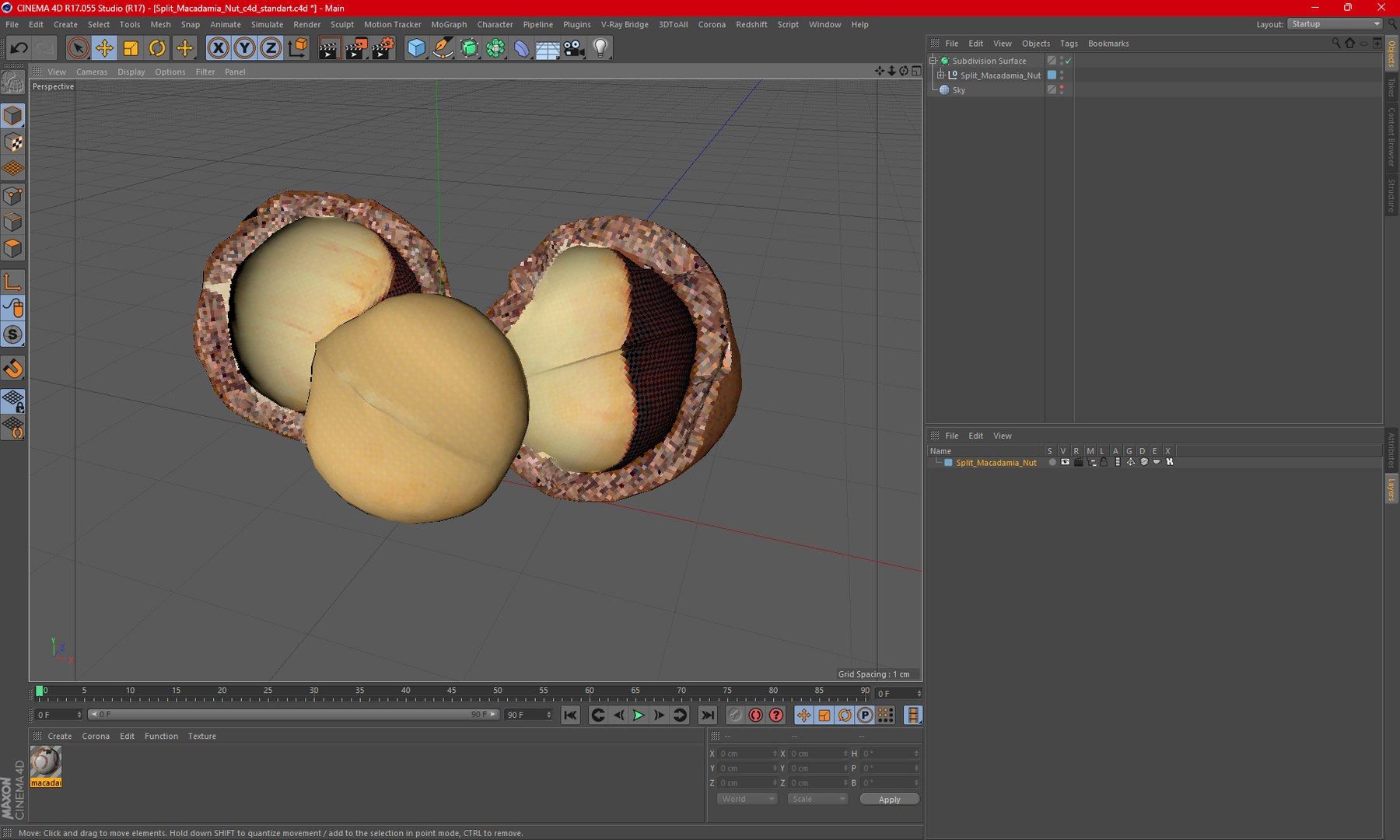 Split Macadamia Nut model https://p.turbosquid.com/ts-thumb/FK/q2Q7Tb/TD/splitmacadamianutvray3dmodel021/jpg/1705906828/1920x1080/fit_q87/6d4d197b0929561cae8967d21ab8464af95a9f1e/splitmacadamianutvray3dmodel021.jpg