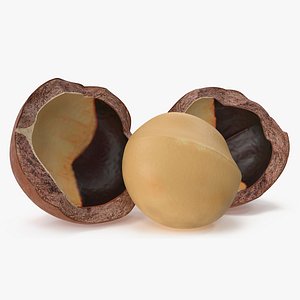 Split Macadamia Nut