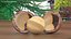 Split Macadamia Nut