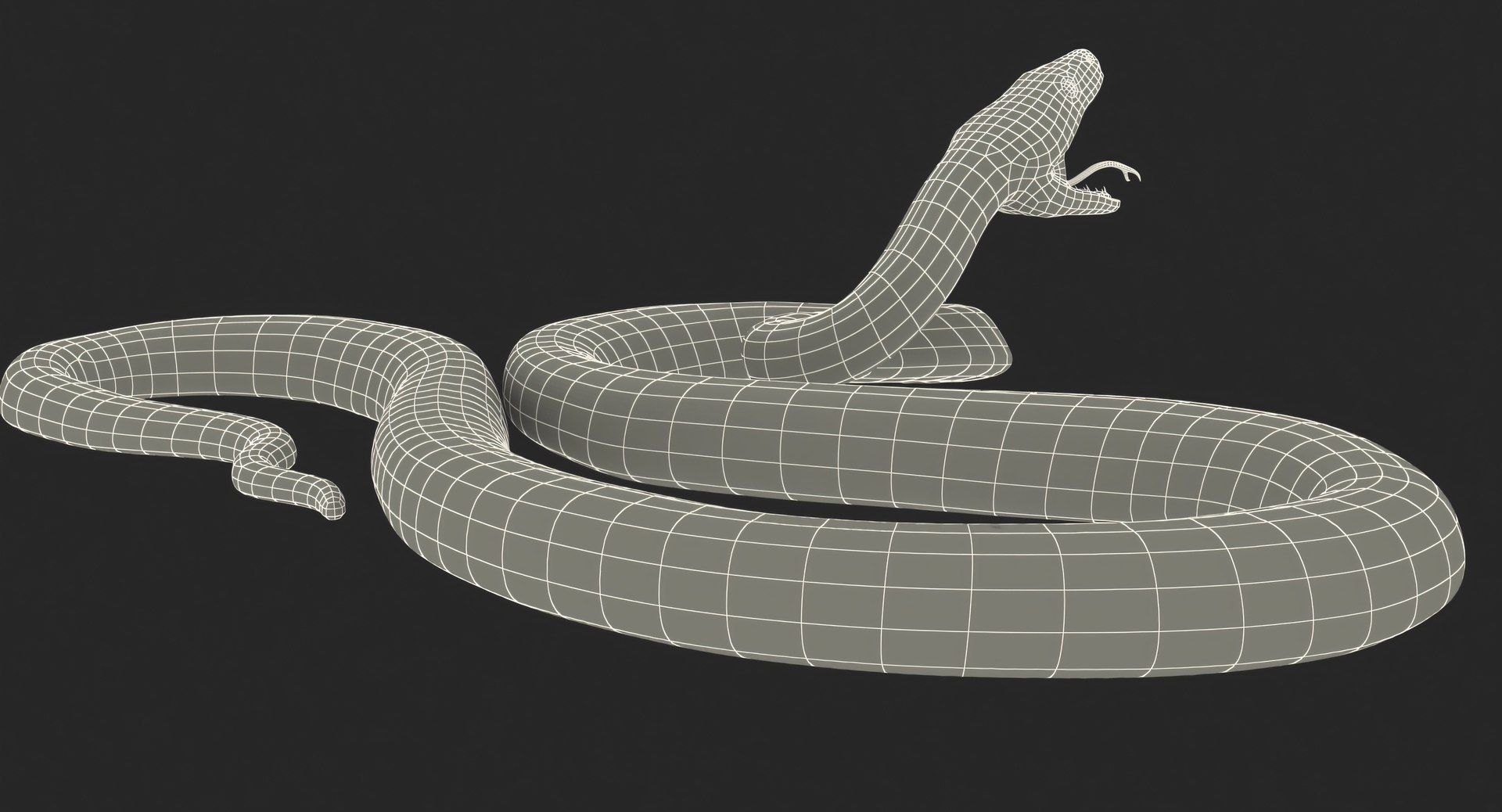 3D Model Brown Python Snake Rigged For Maya - TurboSquid 2212351