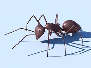 Ant.obj