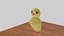 chick