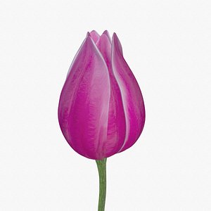 3D Tulip on a stem 3d-print ready 3D print model 3D print model
