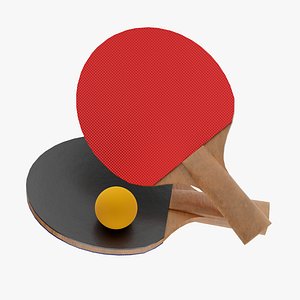 Ping Pong Paddle