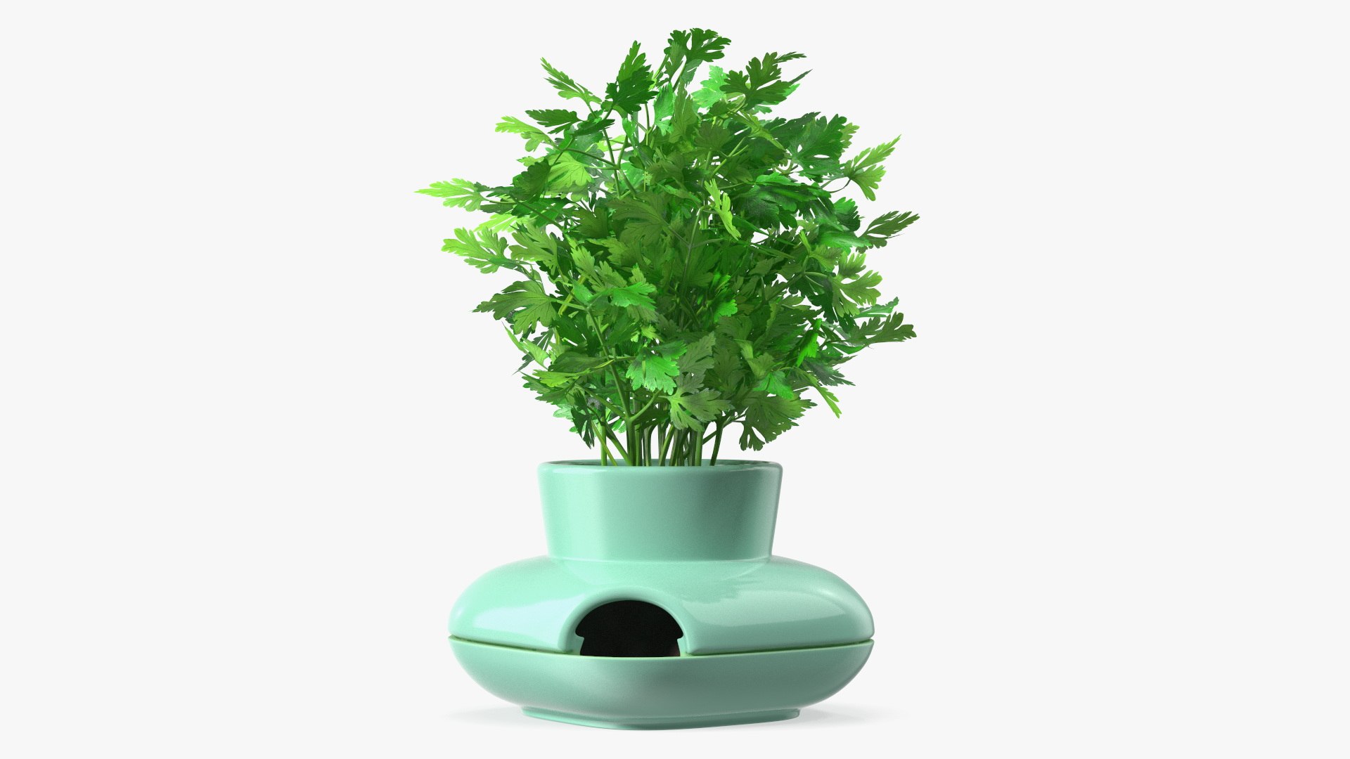 Stoneware Single Herb Pot Green with Parsley 3D model preview