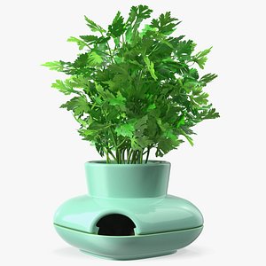 Stoneware Single Herb Pot Green with Parsley