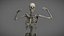 Male Anatomy Rigged  Animated