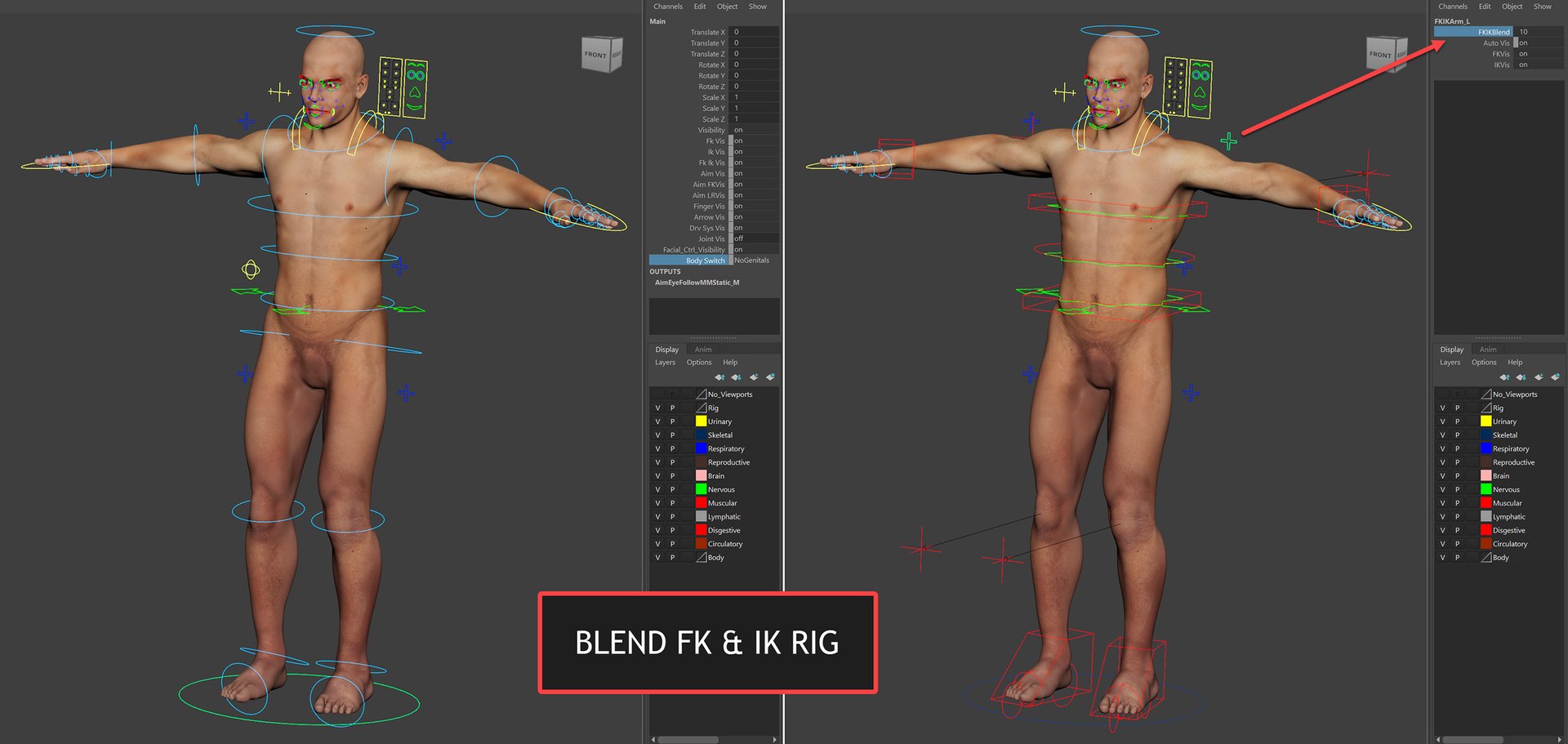 3D Male Anatomy Rigged  Animated https://p.turbosquid.com/ts-thumb/FL/xREgZs/A2/3danatomymaleriggedanimatedmaya04/jpg/1780562615/1920x1080/fit_q87/fb85004a0f6d8e0e03b882f765e0837e997b25e4/3danatomymaleriggedanimatedmaya04.jpg