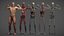 Male Anatomy Rigged  Animated