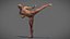 Male Anatomy Rigged  Animated