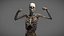 Male Anatomy Rigged  Animated