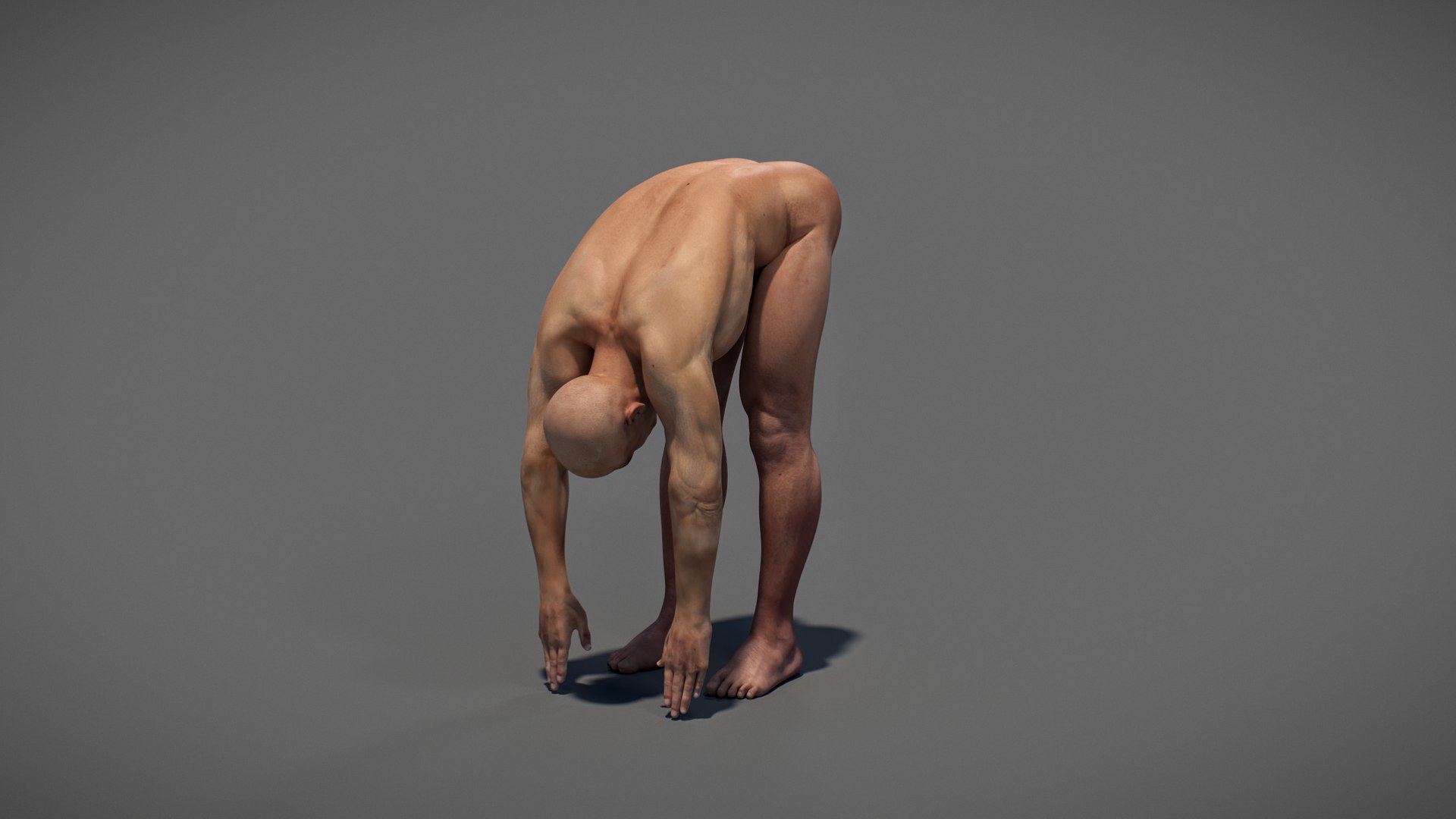3D Male Anatomy Rigged  Animated https://p.turbosquid.com/ts-thumb/FL/xREgZs/je/3danatomymaleriggedanimatedmaya15/jpg/1780562621/1920x1080/fit_q87/ee8ad21c9871fb74a0766aa47a2b7cf877641375/3danatomymaleriggedanimatedmaya15.jpg