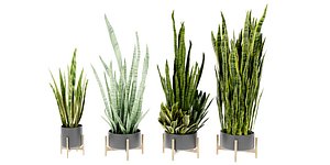3D Collection plant vol 447 - blender model