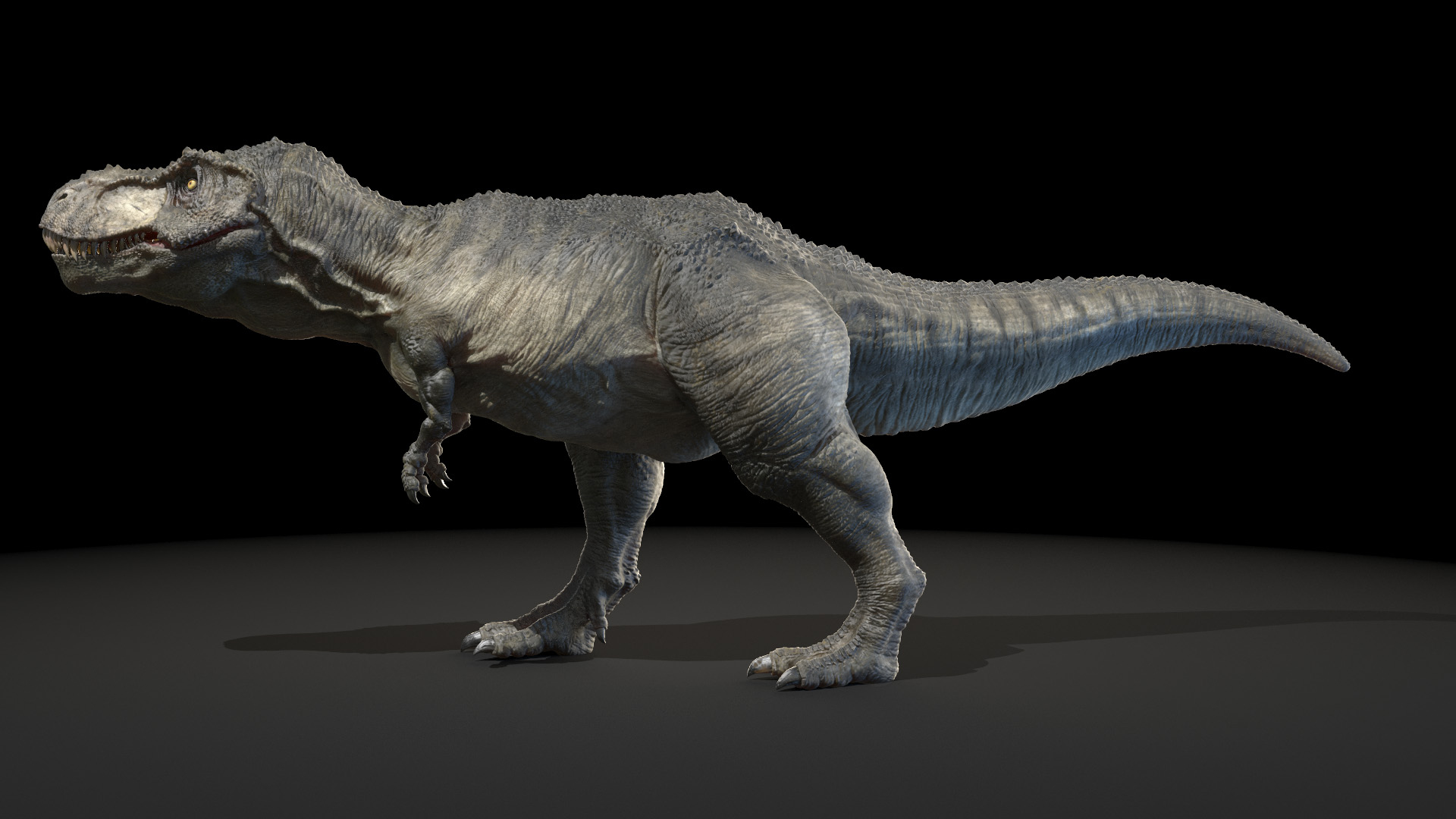 Tyrannosaurus rex running animal 3D model - TurboSquid 1566262