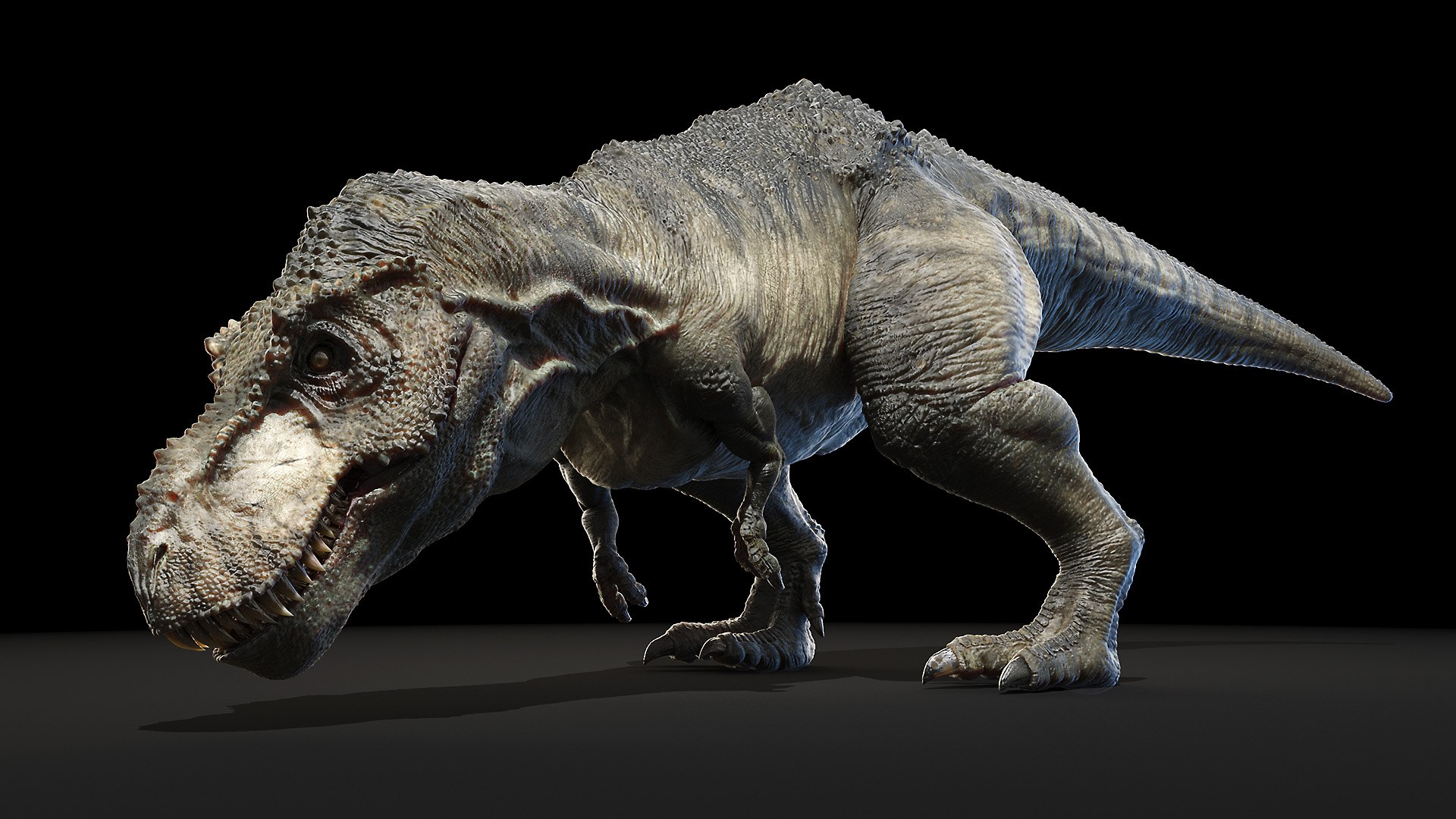 tyrannosaurus rex 3D model https://p.turbosquid.com/ts-thumb/FN/98nupX/7ZOeLnj1/trex_poses0083/jpg/1594800253/1920x1080/fit_q87/f2e0a4f0fcc837bf13b6cae45632d79cc55ef86d/trex_poses0083.jpg