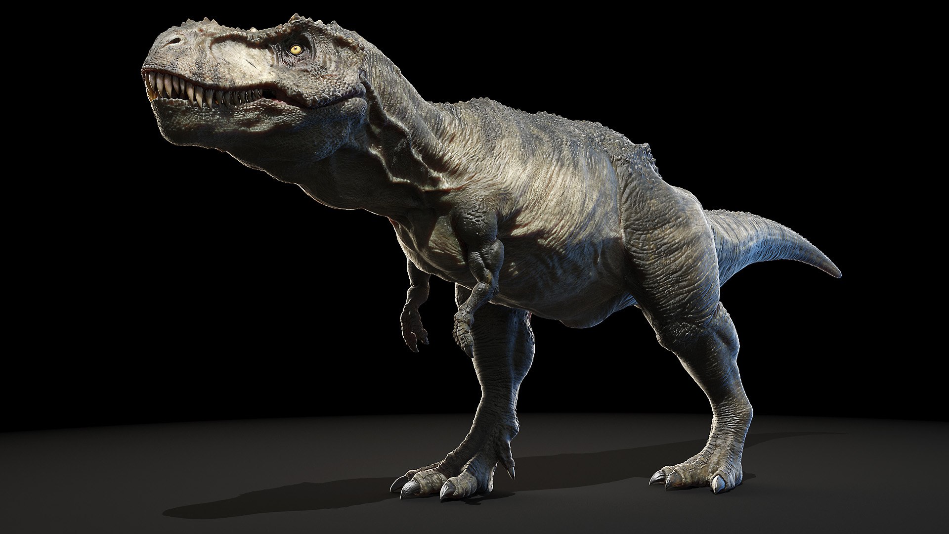 tyrannosaurus rex 3D model https://p.turbosquid.com/ts-thumb/FN/98nupX/8tRTqtci/trex_poses0081/jpg/1594800253/1920x1080/fit_q87/7c5942a2cb10cd56f3360be2838a79676965a586/trex_poses0081.jpg
