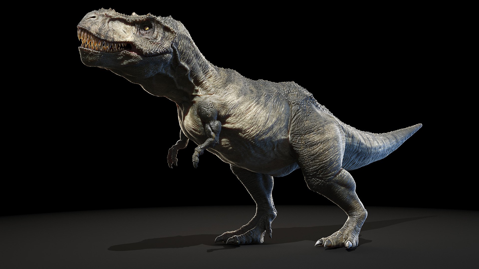 tyrannosaurus rex 3D model https://p.turbosquid.com/ts-thumb/FN/98nupX/9UmWp9Xr/trex_poses0082/jpg/1594800253/1920x1080/fit_q87/c9dbe1409e40615ca96d825920a682927776086e/trex_poses0082.jpg