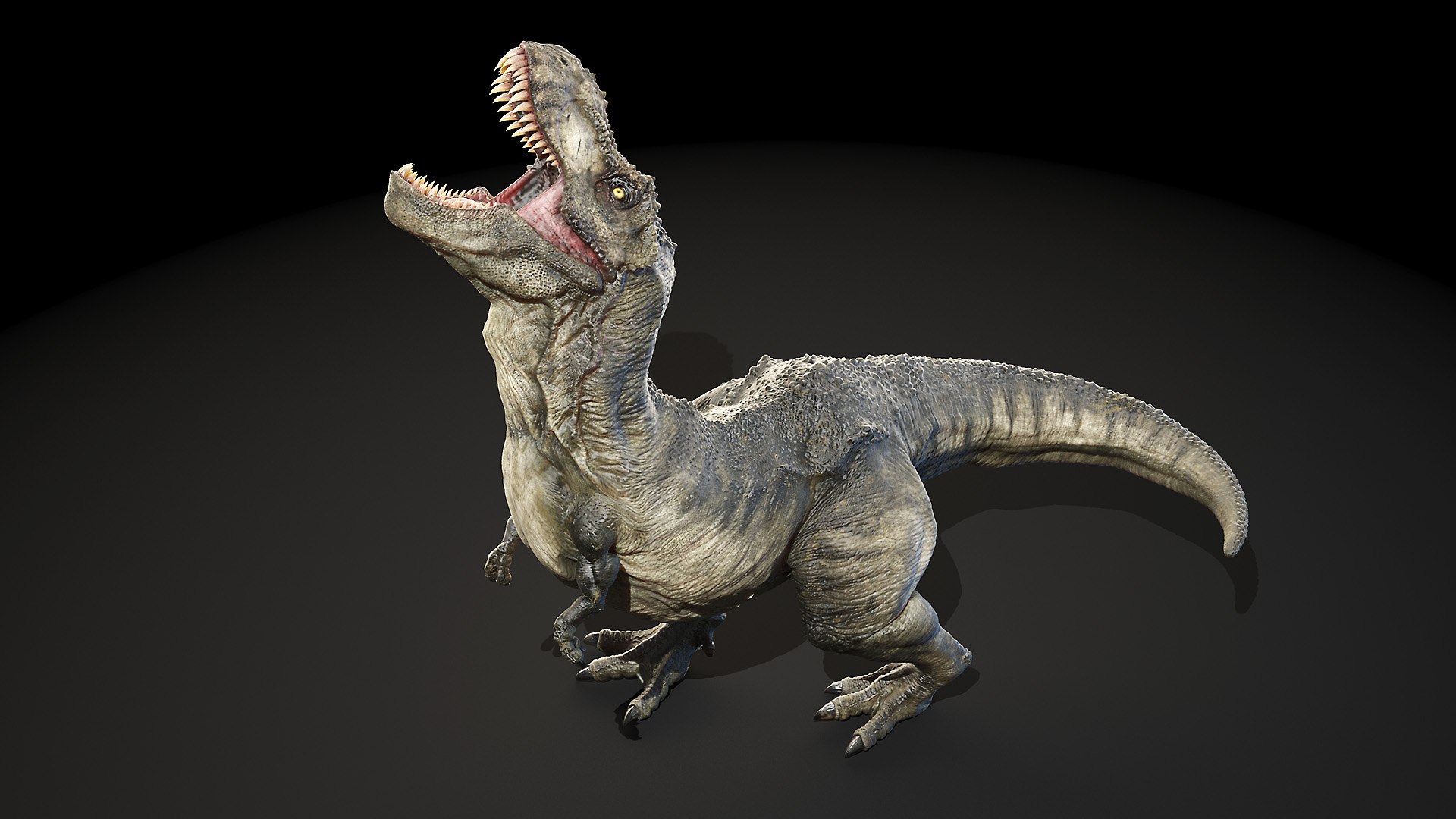 tyrannosaurus rex 3D model https://p.turbosquid.com/ts-thumb/FN/98nupX/hhy9f5ta/trex_poses0085/jpg/1594800253/1920x1080/fit_q87/995248005303c3afc06fe7d8add2d5ae9e3142b1/trex_poses0085.jpg