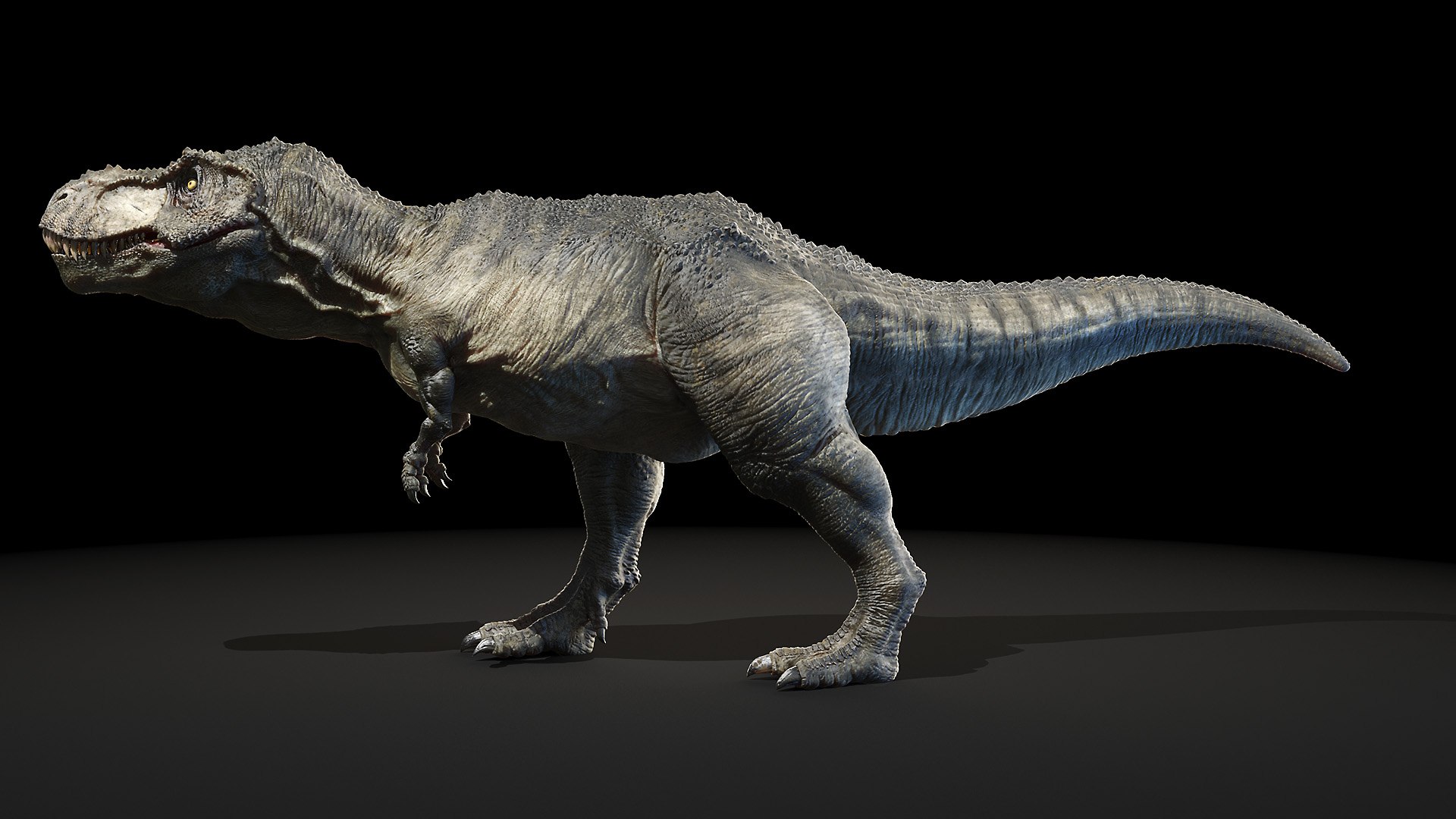tyrannosaurus rex 3D model https://p.turbosquid.com/ts-thumb/FN/98nupX/tQ5GOtvm/trex_poses0080/jpg/1594800253/1920x1080/fit_q87/cdbf4dab04441ccd7c9187d03f684c6ec2048988/trex_poses0080.jpg