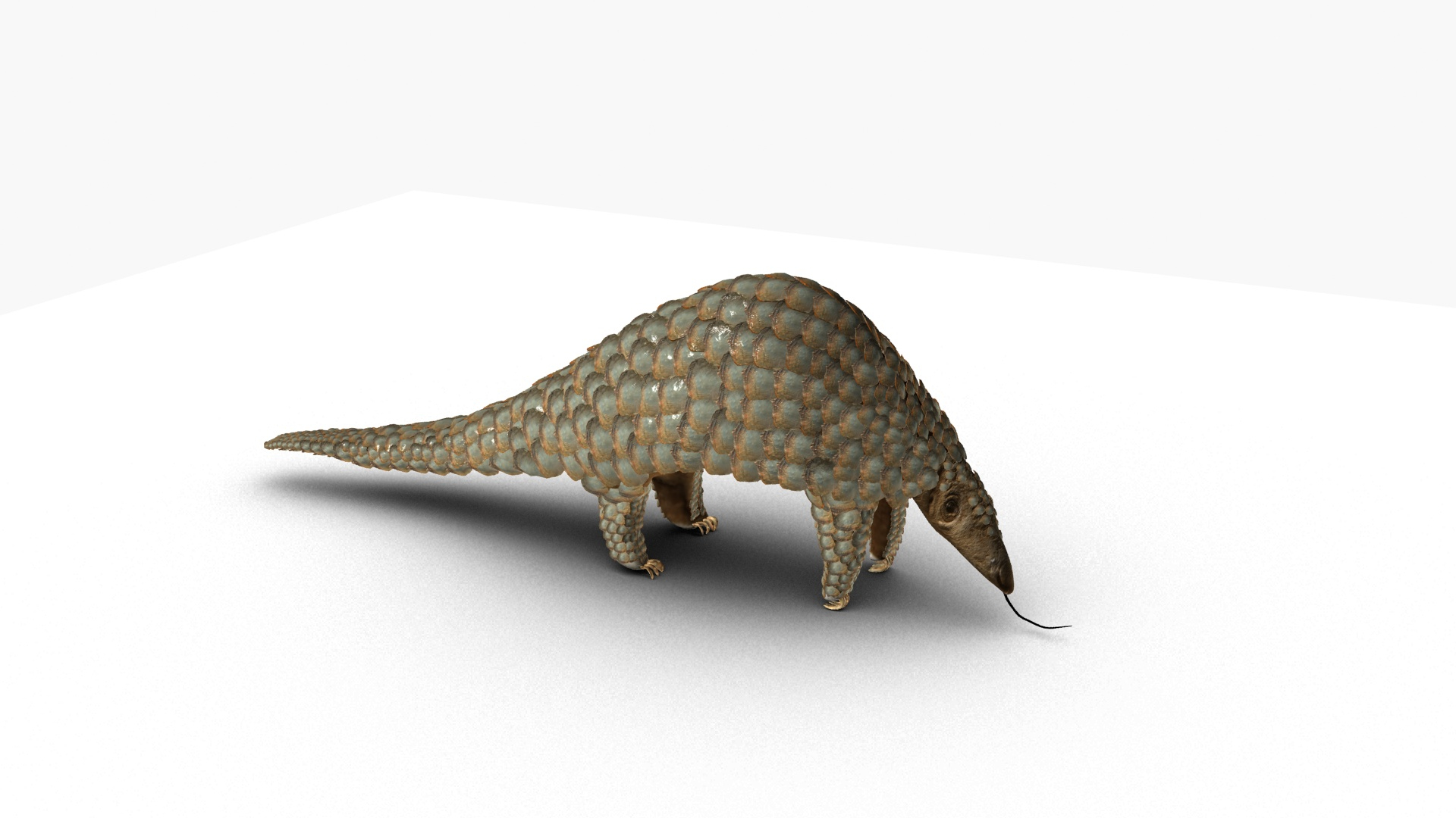 Pangolin Model - TurboSquid 1730445