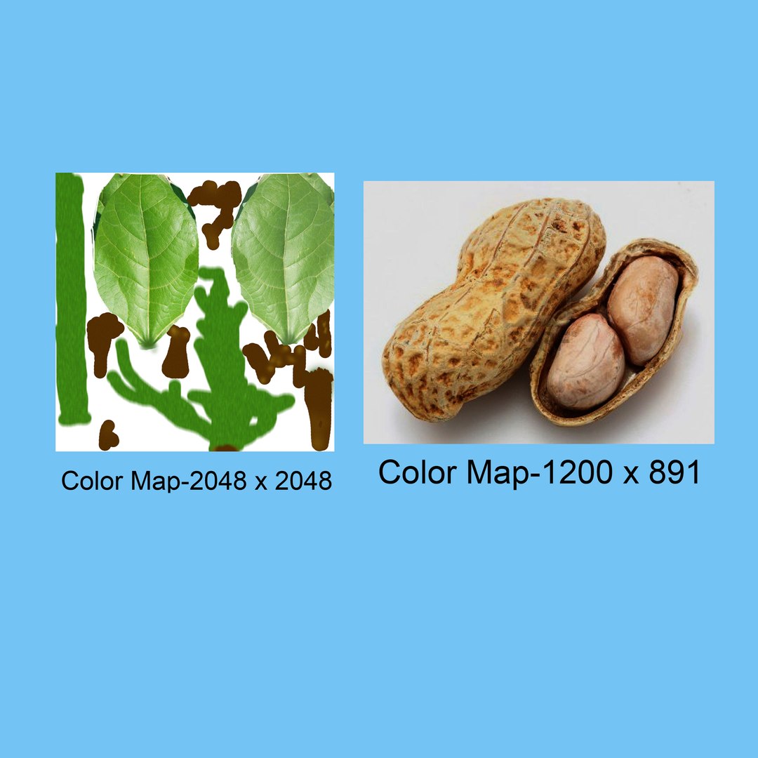 3D model peanut groundnut https://p.turbosquid.com/ts-thumb/FN/CrLone/Gt3hher7/b1641nitrogencycletextlayout/jpg/1520410538/1920x1080/fit_q87/135d54f352bed9dde044e8b37def3511f08a5c49/b1641nitrogencycletextlayout.jpg