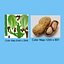 Groundnut Tree