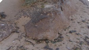 obj beach mud mound -