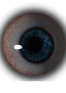 3D eyes iris
