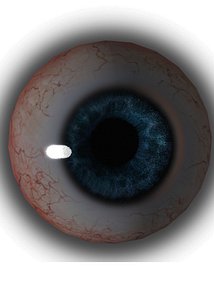 eye