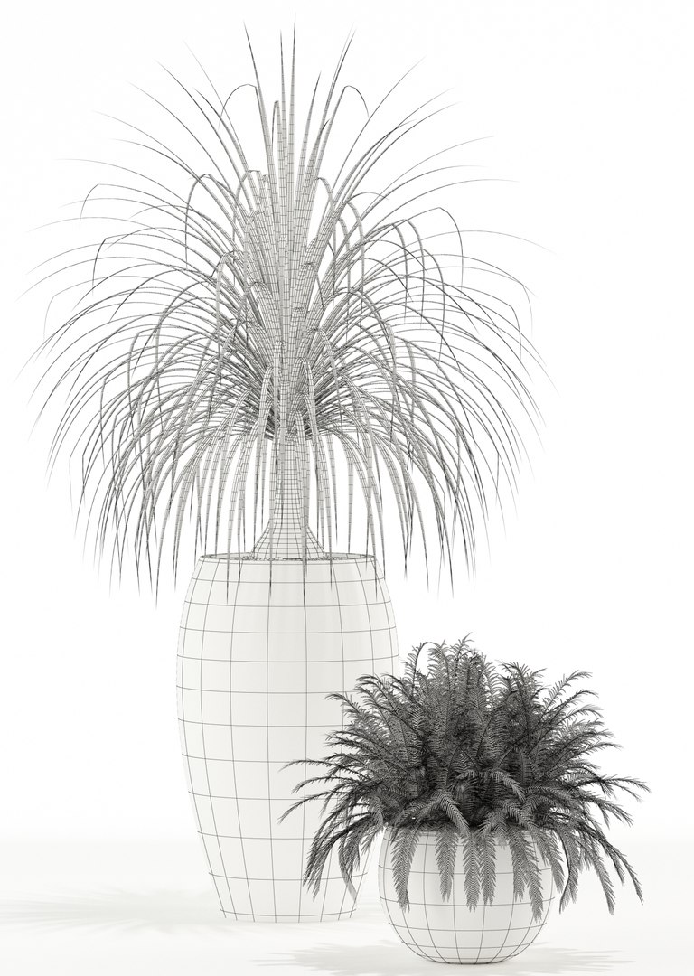 3D plants 122 https://p.turbosquid.com/ts-thumb/FN/SPlrDl/m8FD2AaD/plant_122_05/jpg/1538387203/1920x1080/fit_q87/c68825b6ad32696dc6de58f95b6ffdcbac7e41bc/plant_122_05.jpg