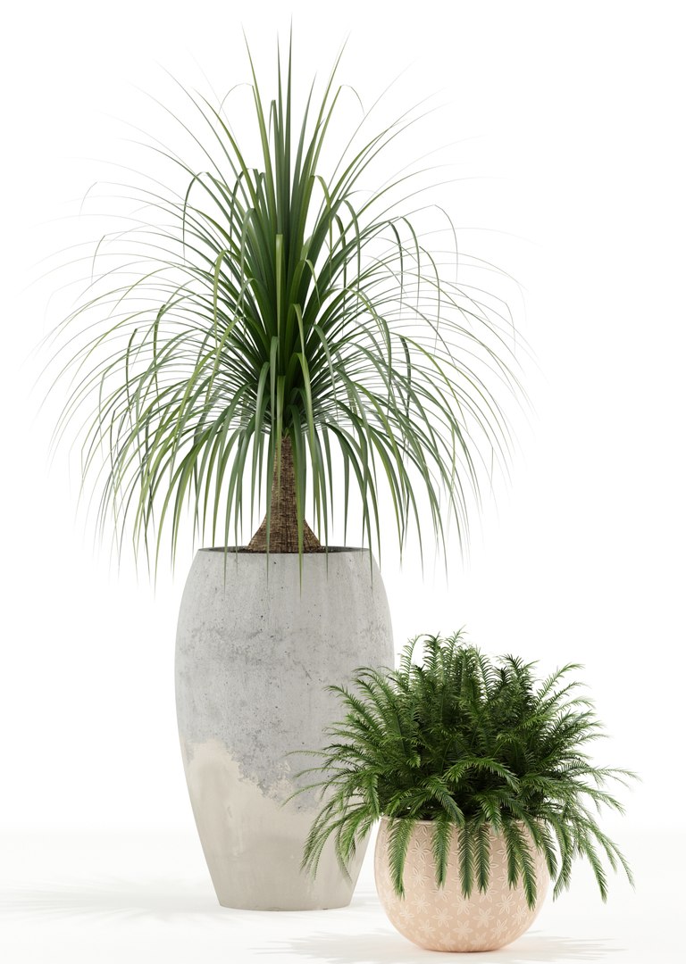 3D plants 122 https://p.turbosquid.com/ts-thumb/FN/SPlrDl/vcrwJZUE/plant_122_04/jpg/1538387203/1920x1080/fit_q87/e8b3f89a0b55ba35c3473751bdc500acffbece3f/plant_122_04.jpg